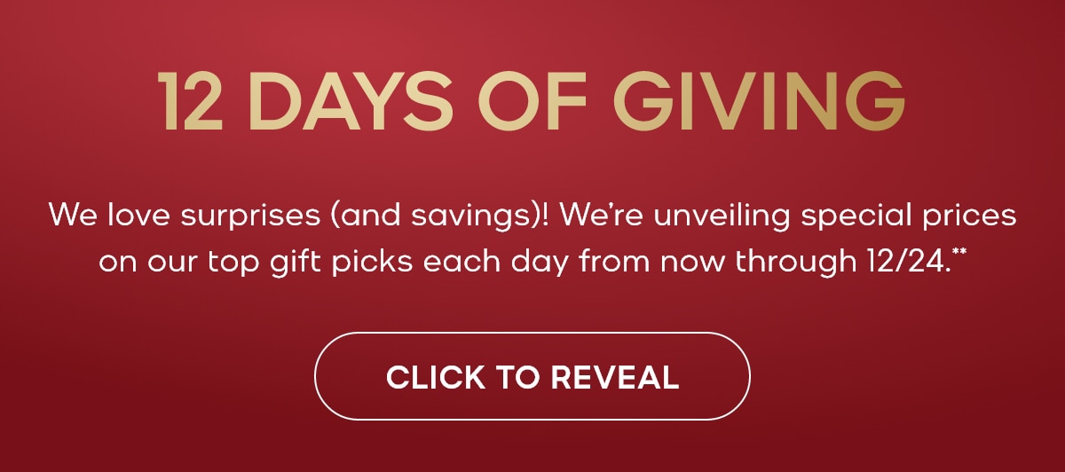 12 DAYS OF GIVING BANNER