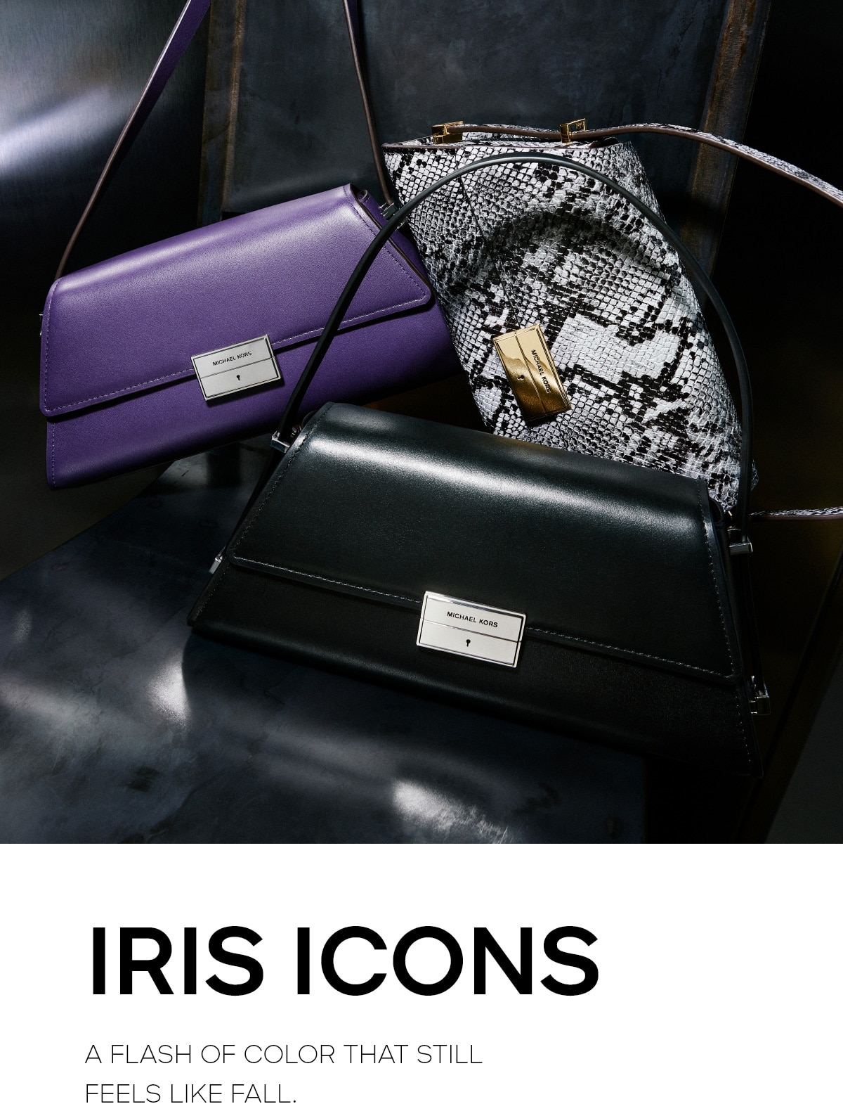 IRIS ICONS A FLASH OF COLOR THAT STILL FEELS LIKE FALL.