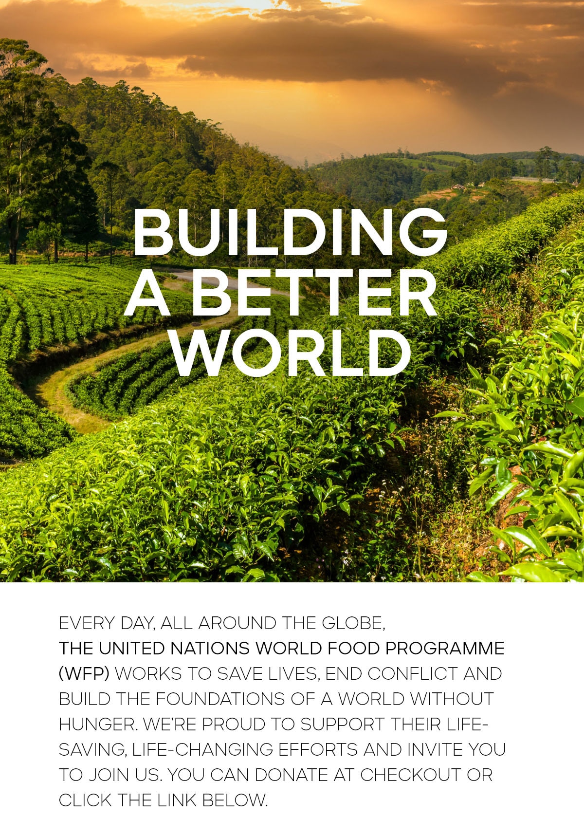 BUILDING A BETTER WORLD EVERYDAY ALL AROUND THE GLOBE, THE UNITED NATIONS WORLD FOOD PROGRAMME (WFP) WORKS TO SAVE LIVES, END CONFLICT AND BUILD THE FOUNDATIONS OF A WORLD WITHOUT HUNGER. WE'RE PROUD TO SUPPORT THEIR LIFE-SAVING,LIFE-CHANGING EFFORTS AND INVITE YOU TO JOIN US. YOU CAN DONATE AT CHECKOUT OR CLICK THE LINK BELOW.