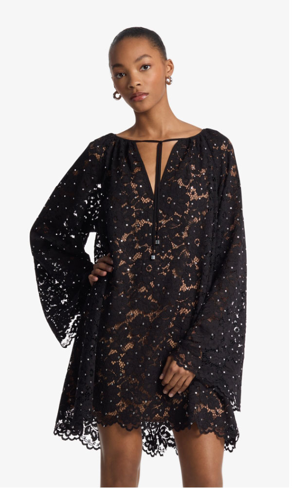 The V-Neck Laced Dress
